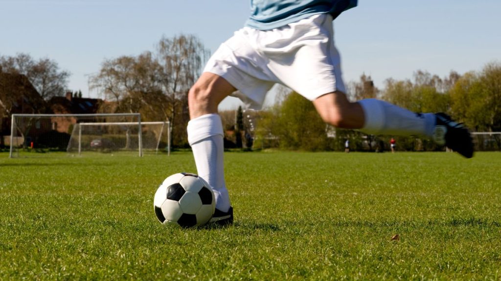 impact of fan engagement